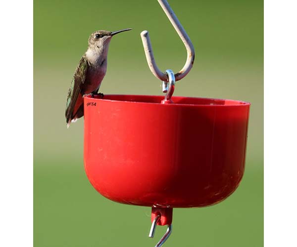 Ant Moat for Hummingbird Feeders Nectar Protector Jr Red Works SE625 